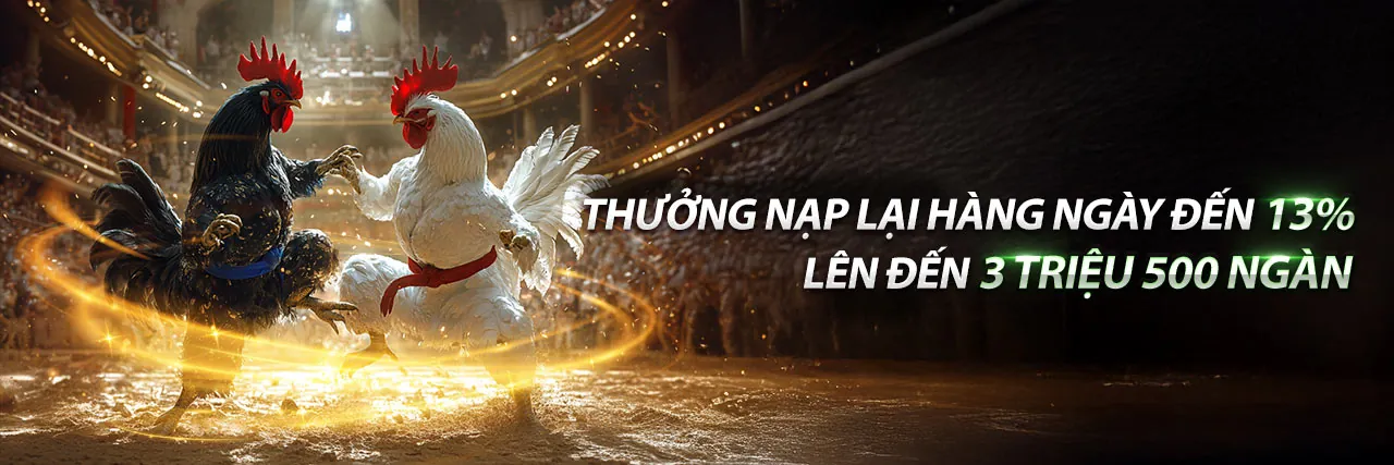 Sân đấu gà trực tuyến sôi động tại Dom88