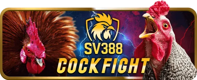 Khám Phá Quyền Lợi VIP dom88